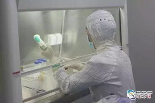 深圳人體細胞科技展覽館 細胞技術研發與應用的前沿探索